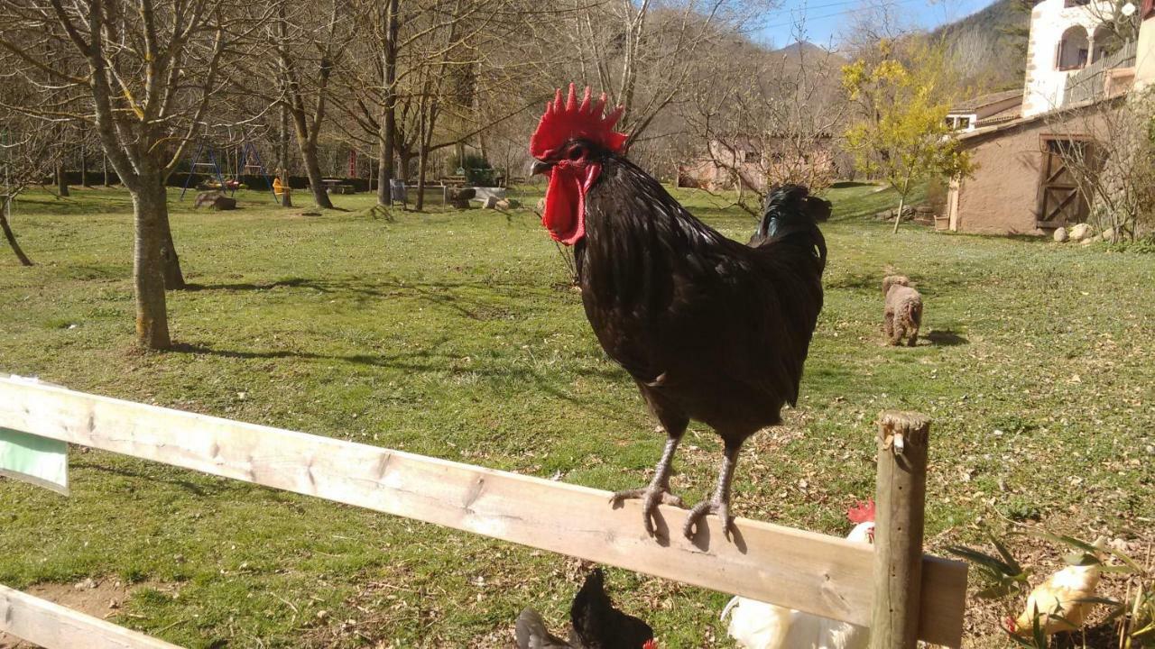 El Moli D'En Sola-Allotjaments Rurals La Vall de Bianya Kültér fotó